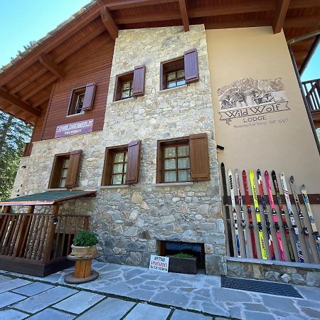 Wildhomes Wild Wolf Lodge 쿠르마예 외부 사진