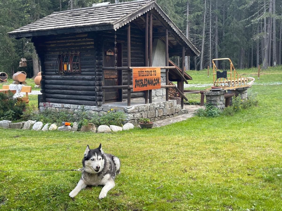 Wildhomes Wild Wolf Lodge 쿠르마예 외부 사진