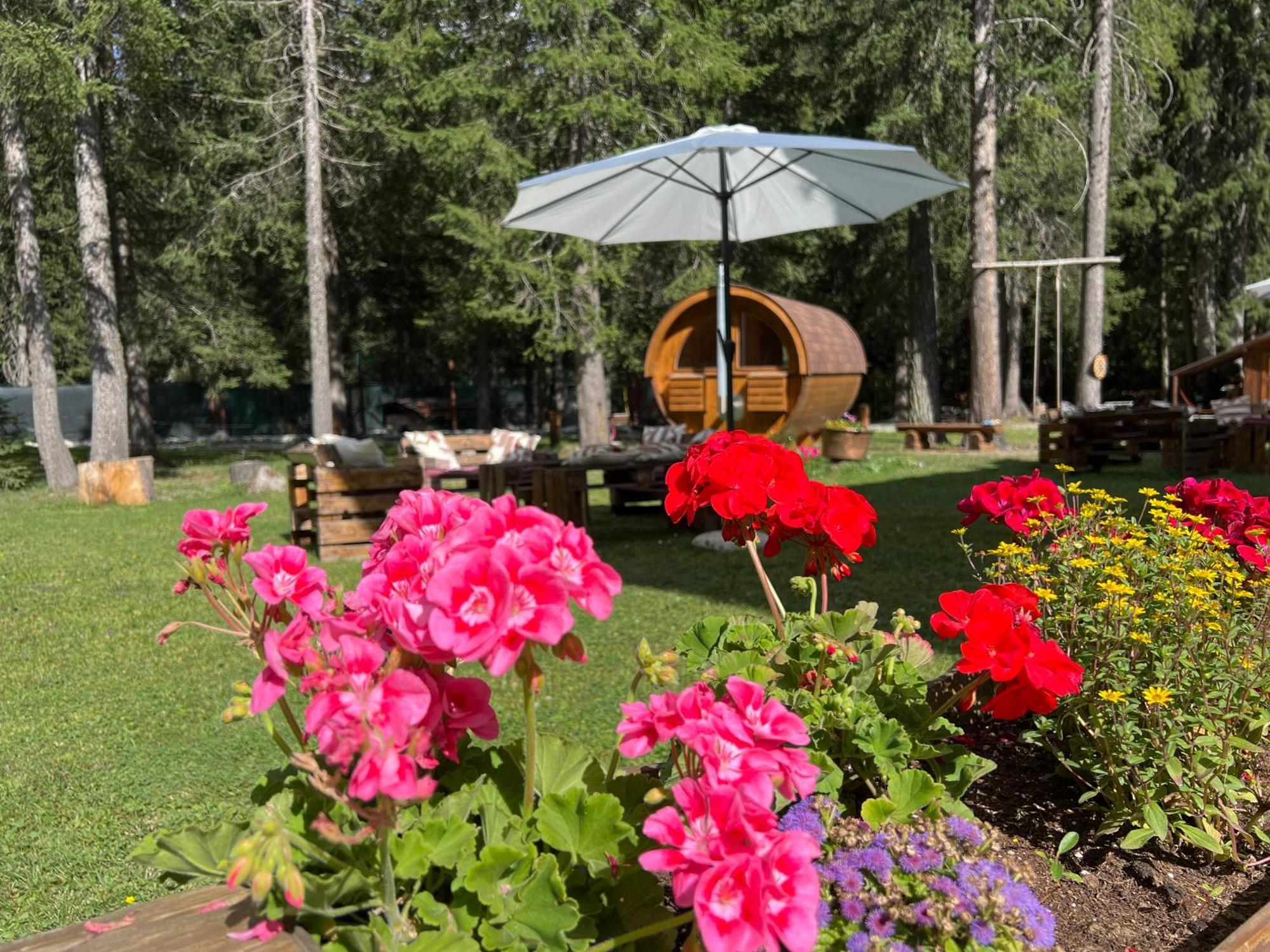 Wildhomes Wild Wolf Lodge 쿠르마예 외부 사진